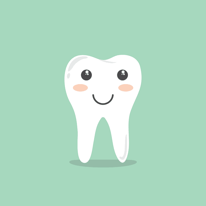 Causes of the Dental Caries (Tooth Decay)